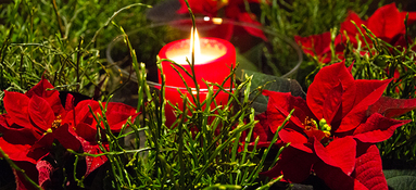 1.Advent 1.Advent