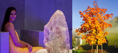 Br_Sauna_Herbst Br_Sauna_Herbst