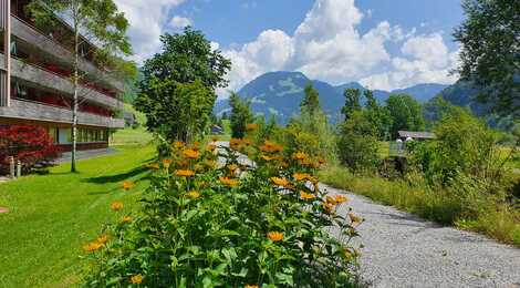 IMG-20210719-WA0002