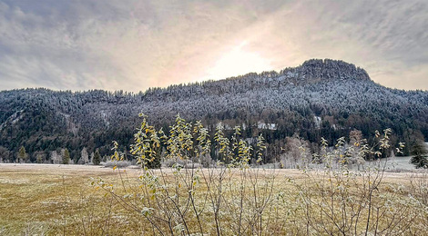 BR_Spaetherbst-Winterbeginn_Nov25_Moor_CF_1400x650px