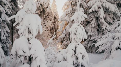 gesundhotel-bad-reuthe-winter-schnee-spass-verschneit-sonne-pexels-alesia-kozik-6532301_2500px