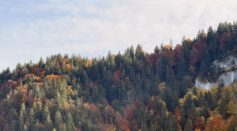 BR_Herbst_Okt25_CF_269_bearb_1400x650px