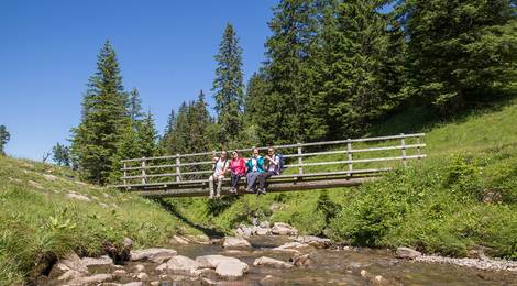 Bregenzerwaldhotels-Brücke-Wandern