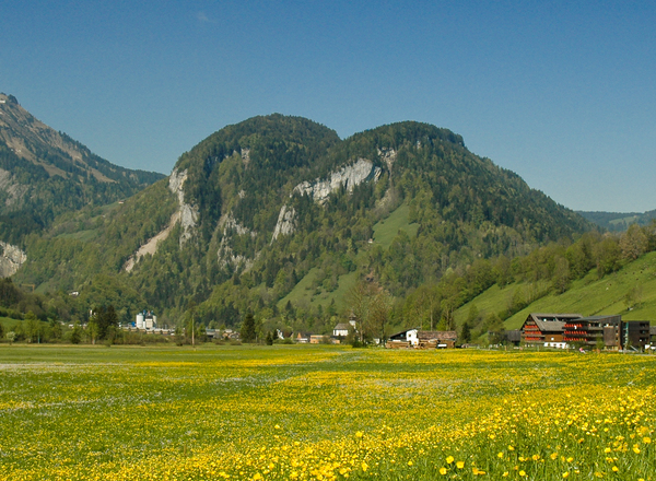 Natur