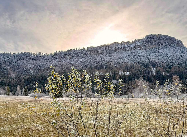 BR_Spaetherbst-Winterbeginn_Nov25_Moor_CF_1400x650px